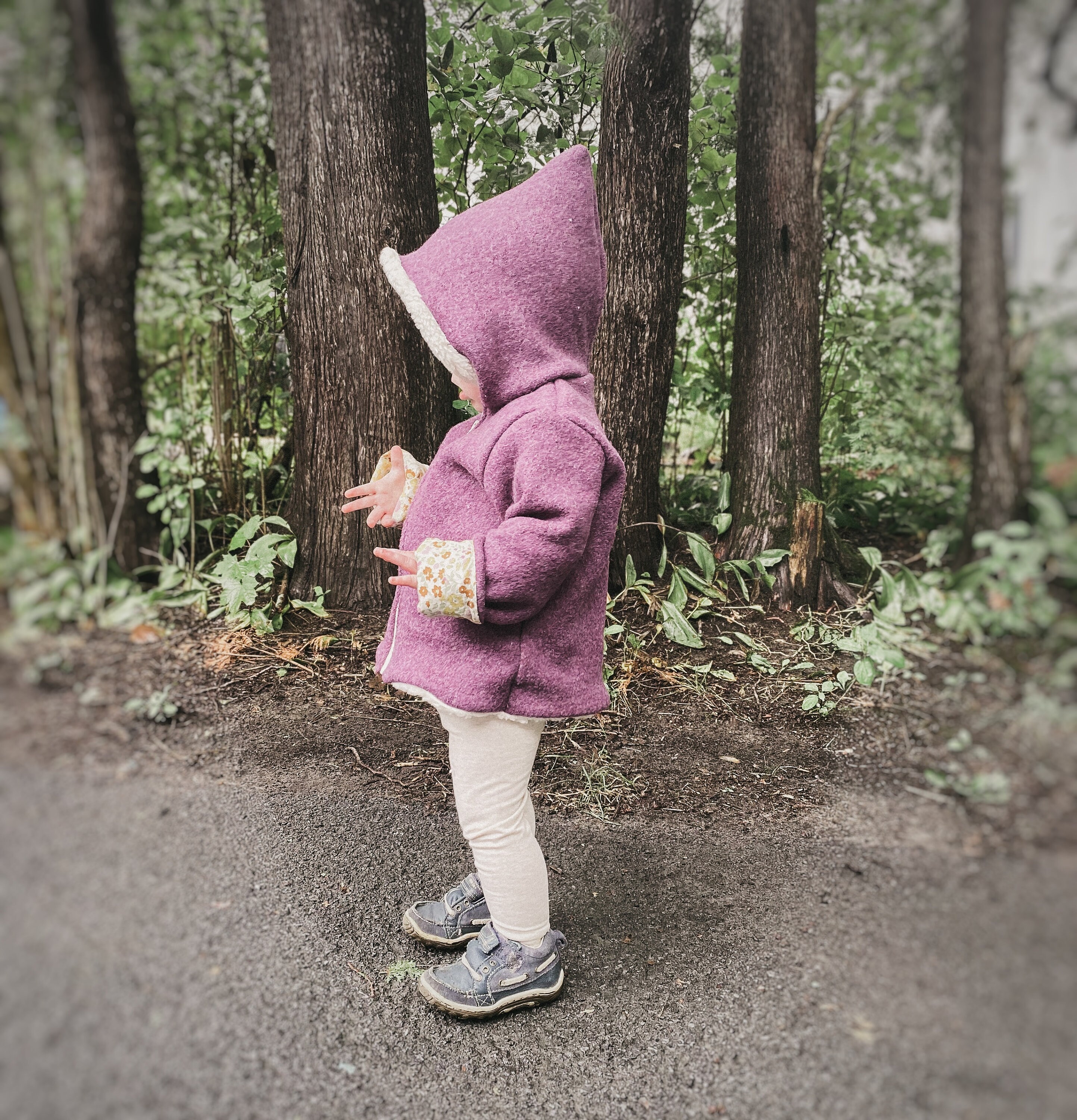 Kids Wool Pixie Jacket, Wool Zip Jacket, Toddler Jacket, Toddler