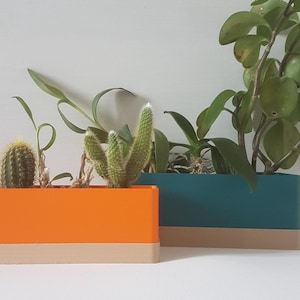 Set van 2 kleurrijke binnenbakken met afvoergaten en lekbak