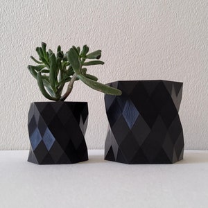 Fioriera da interno per cactus e piccole piante, portavaso per erbe aromatiche fresche