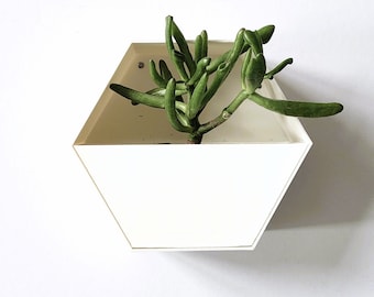 White Hexagon Wall Planter, Indoor Plant Pot, Perfect Gift