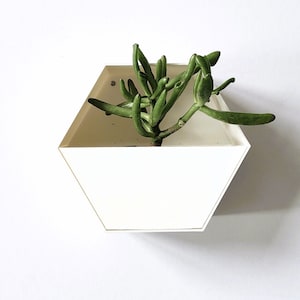 Hexagon Wall Planter, Indoor Wall Mounted Plant Pot, Perfect Gift