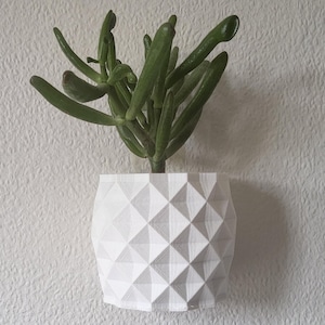 Puede incluir: Una planta suculenta verde en una maceta blanca con diseño geométrico. La maceta está montada en una pared blanca texturizada. La planta tiene hojas gruesas y es de color verde vibrante. La maceta tiene un patrón de diamantes.