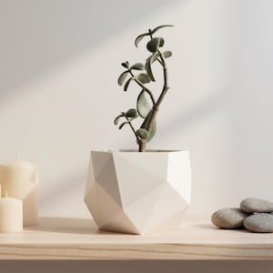 Der Rosmarin-Übertopf, geometrisches Design für stilvolle Innenräume