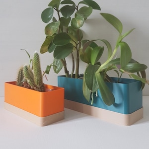 Vasos de plantas coloridos para interiores, vasos retangulares com bandeja coletora de gotas.