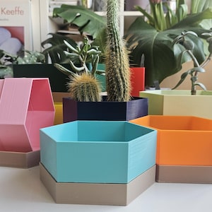Farbenfrohe Innenpflanzer mit Drainagelöchern und Auffangschale für Kakteen und kleine Pflanzen