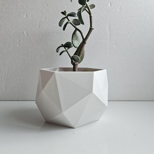 Indoor Planter, Geometric Design