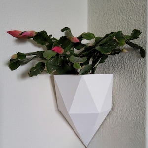Modern Corner Wall Planter