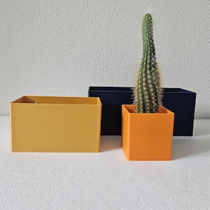 Pode incluir: Três vasos retangulares, um amarelo, um laranja e um azul escuro. O vaso laranja contém uma planta de cacto.