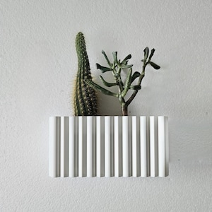 以下が含まれることがあります： 白い壁に、リブ模様の白いセラミック製のプランターが取り付けられています。プランターには、緑色の小さな植物が2つ植えられています。