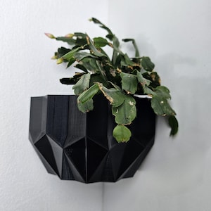 Jardinera de esquina para jardín vertical