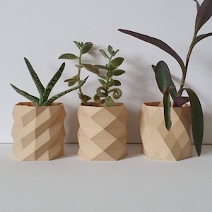 Geometric Succulent Planter Set, Modern Mini Pots, Eco-Friendly Wooden Plant Pots