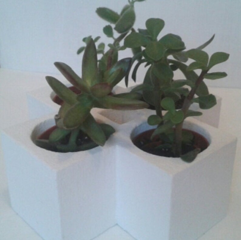 White Geometric Planter Succulent Planter Coffee Table Etsy UK