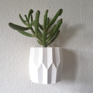 Wall Mounted Planter, Indoor Vertical Garden Pot