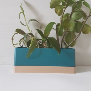 May include: A rectangular teal and beige planter filled with green plants. The planter has a teal upper section and a beige lower section. The plants have various shades of green leaves and stems. The planter is sitting on a white surface.