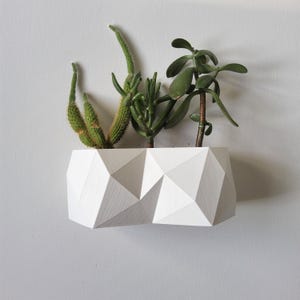 Maceta de pared de forma irregular, ideal para interiores, ideal como regalo para amantes de las plantas.