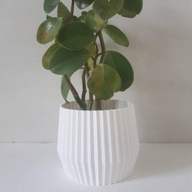 Modern Indoor Planter, Indoor Plant Pot
