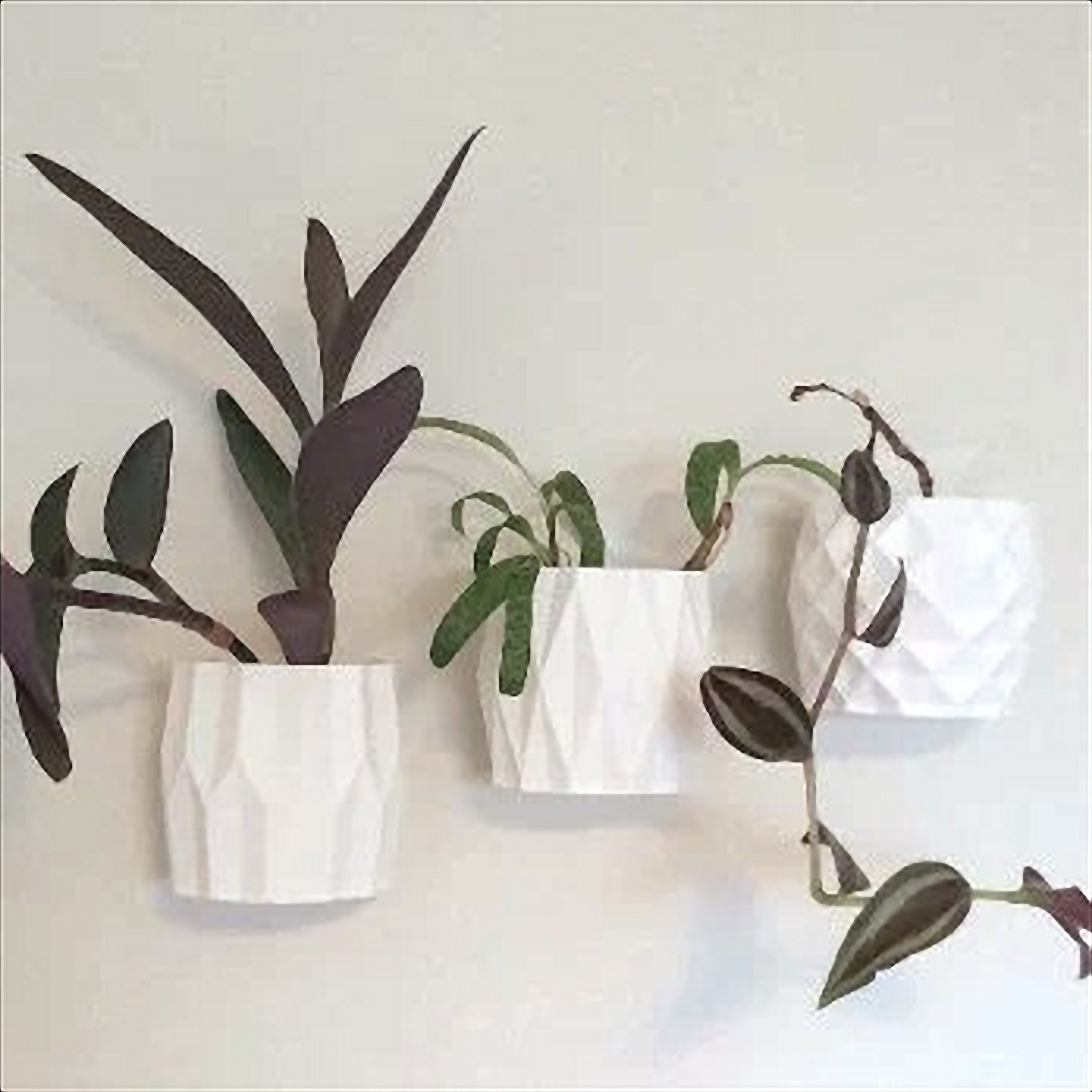 WMYYLX Set di 36 vasi autoirriganti da parete, set di