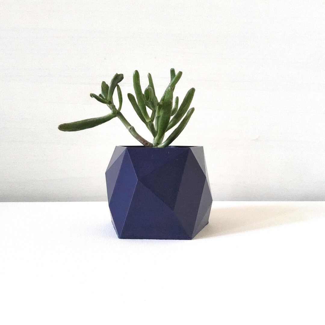 Pentagonal Pot Pentagon Indoor Planters, Indoor Plant Pot for Cacti and Small Plants ...