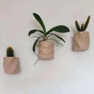 Peut inclure: Trois jardinières murales avec des plantes. Les jardinières sont de couleur marron clair et présentent un motif géométrique. L'une contient un cactus, une autre une orchidée et la troisième un cactus. Les plantes ont des feuilles et des tiges vertes.
