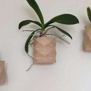 3er Set Holz-Wandpflanzer, an der Wand befestigte Pflanzentöpfe, Blumentopfhalter, atemberaubendes Geschenk für Pflanzenliebhaber