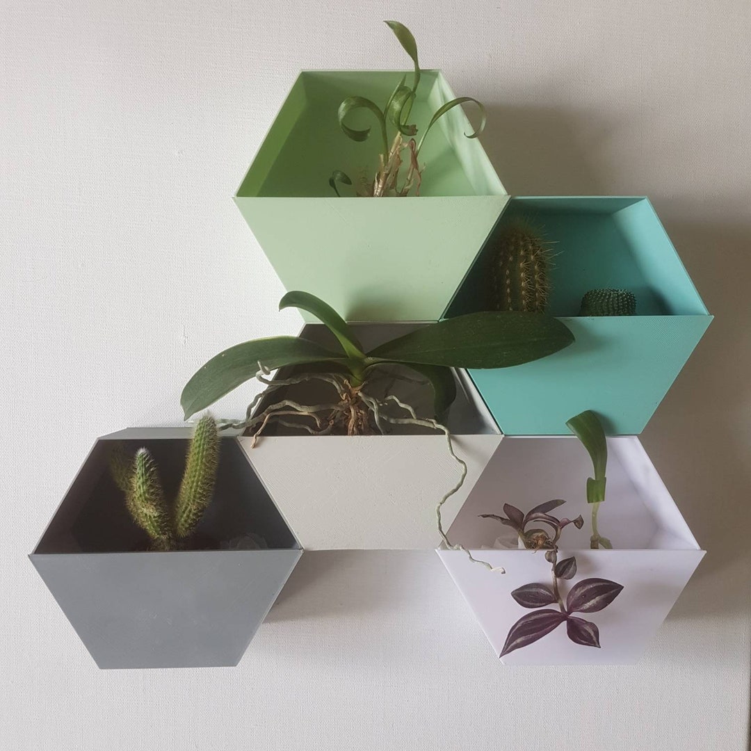 Wall Planters, Hexagon Shape, System, 3D Printed Plant Pots, Herbs