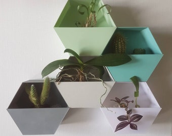 Wall Planters, Hexagon Shape, System, 3D Printed Plant Pots, Herbs, Kitchen, Living, Interior Design