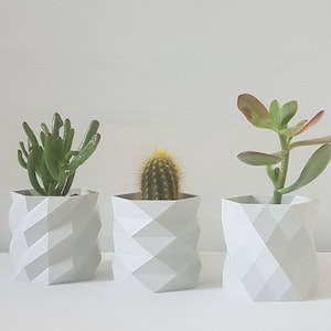 3er Set Pflanztöpfe für Innen, Kakteen und Kräuter, perfektes Geschenk für Pflanzenliebhaber