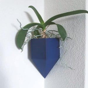 Op de afbeelding: Een donkerblauwe geometrische wandbeplanting met een plant die eruit groeit. De beplanting heeft de vorm van een diamant en is bevestigd aan een witte muur.