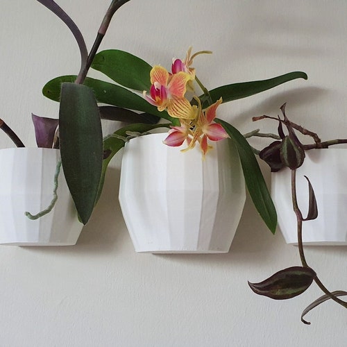 Set of 3 Wall Planter, Wall Plant Pot, Wall Mounted Plant Pot Holder, Perfect Gift