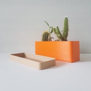 May include: An orange rectangular planter box with a beige rectangular tray. The planter contains cacti and small plants. The planter and tray are on a white surface.