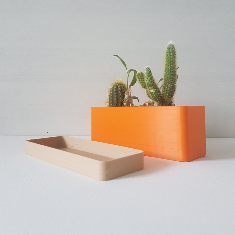 May include: An orange rectangular planter box with a beige rectangular tray. The planter contains cacti and small plants. The planter and tray are on a white surface.
