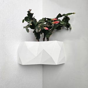 3D Printed Corner Wall Planter: Eco-Friendly Plant Pot, Made in London