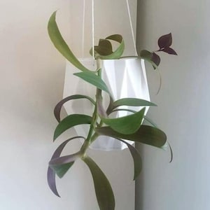 Maceta colgante, jardineras colgantes para plantas pequeñas