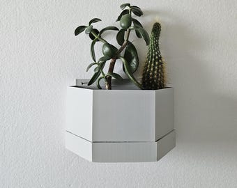Wall Mounted Planter with Drip Tray for Vertical Garden Display