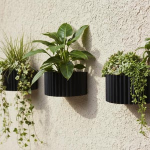 Peut inclure: Trois jardinières murales cylindriques noires à texture nervurée verticale, contenant chacune des plantes vertes différentes. La jardinière de gauche contient du lierre retombant, celle du centre une plante à larges feuilles et celle de droite une succulente.