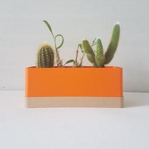 May include: An orange rectangular planter with a beige base, containing various small cacti and succulents. The cacti are green with yellow spines, and the succulents have small green leaves. The planter is on a white surface.