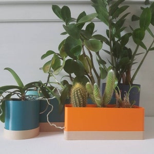 May include: A selection of potted plants, including cacti and leafy green plants, in colourful, modern planters. The planters are teal, orange, and dark grey with a neutral-coloured base. The plants are arranged on a white surface.