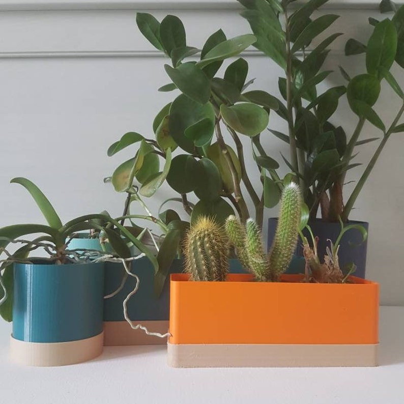 May include: A selection of potted plants, including cacti and leafy green plants, in colourful, modern planters. The planters are teal, orange, and dark grey with a neutral-coloured base. The plants are arranged on a white surface.