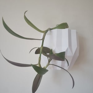 White Wall Planter, Minimal and Sustainable, 3D Printed Wall planter, Indoor and Outdoor Wall Decoration, Simple Gift