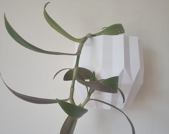 White Wall Planter, Indoor Wall Plant Pot, Indoor and Outdoor, Simple Gift