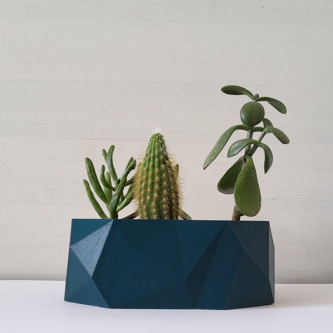 Pentagonal Pot Indoor Planter, Indoor Plant Pot, Irregular Pentagon Shape Plant Pot ...