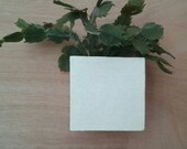 White Wall Planter, Plant Pot, Living Wall, Green Wall, Wall Art, Vertical Garden, Outstanding Outlook, Cubic Design