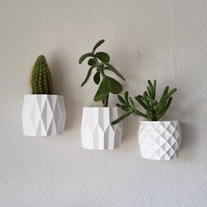 Set Of 3 Wall Planters, Wall Mounted Plant Pot, Spring Present