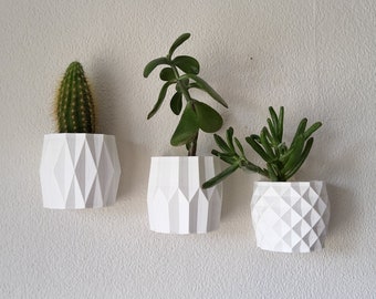 Set Of 3 Wall Planters, Wall Mounted Plant Pot, Spring Present