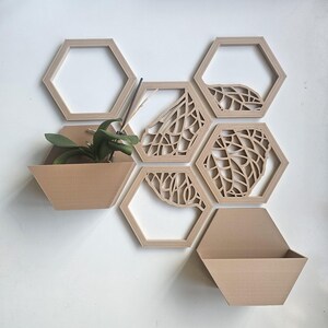 Può includere: Un set modulare da parete composto da cornici e fioriere esagonali in legno. Alcuni esagoni presentano intagli decorativi a forma di foglia. Una fioriera contiene una piccola pianta verde, aggiungendo un tocco naturale al design.