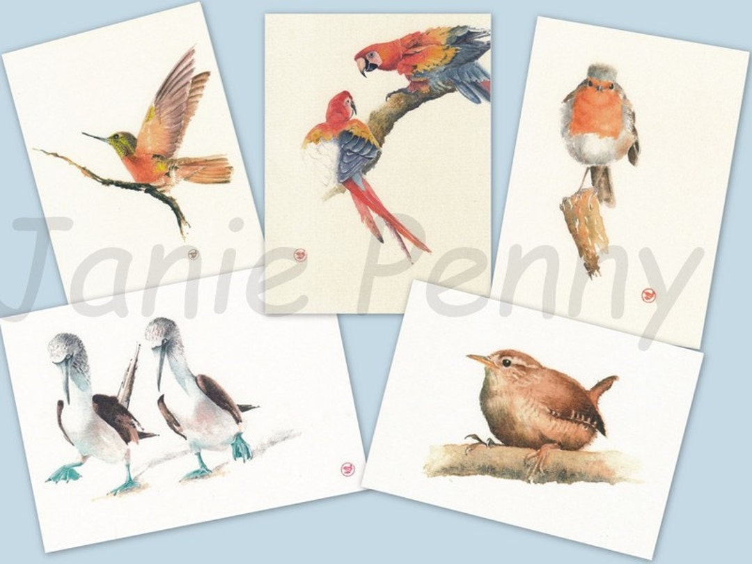 5 Assorted blank Greeting Cards With Watercolour Paintings Etsy