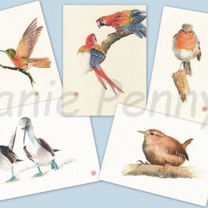鳥の水彩画が描かれた 5 種類の (空白の) グリーティング カード