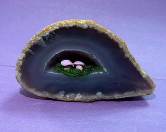 Geoda de cristal en rodajas de hongo de los amantes