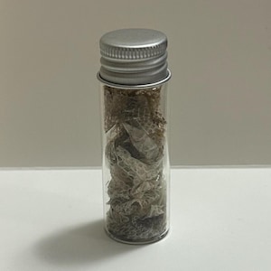 May include: A small, clear glass vial with a silver metal cap, filled with dried, textured snake skin. The vial is cylindrical and stands upright on a white surface, casting a shadow.