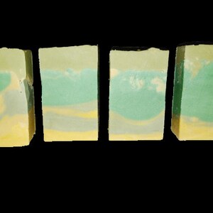 Grass-Feed Tallow Homemade Artisan Soap Nourishing Citrus Scented Bar for All Skin Types Handmade EDMSOAP image 5